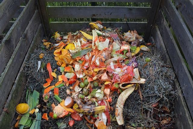 Should You Make Your Own Compost?