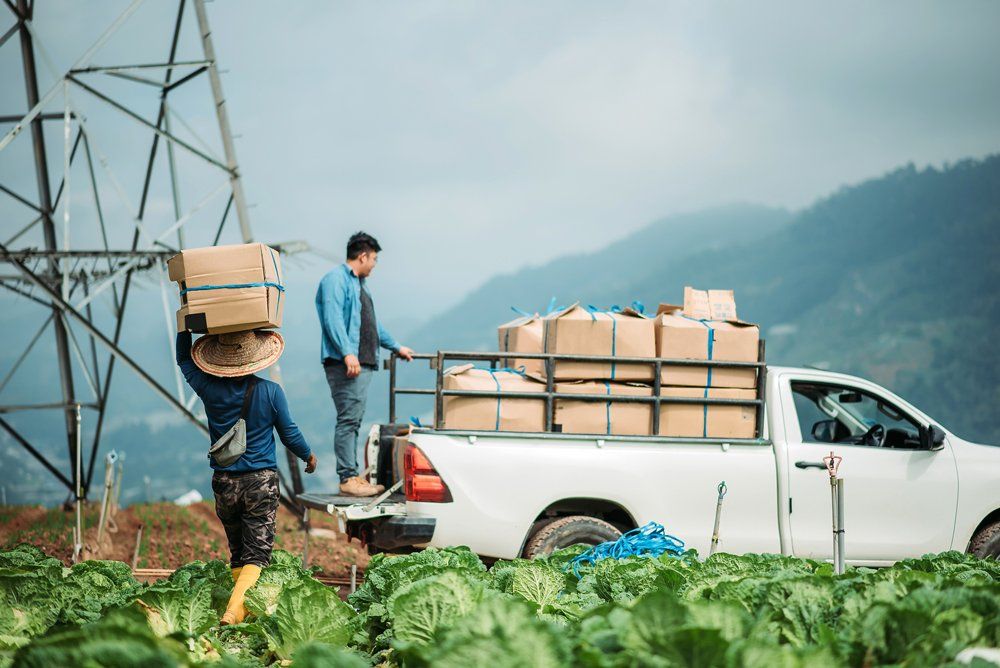 Farmer Loading Crops To A Pick Up Truck — Ogden, UT — Sam T Evans Pickup Cover & Trailer Sales