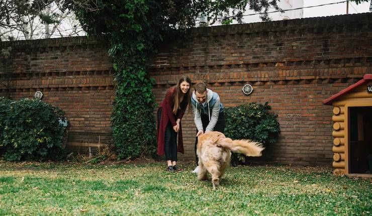 The Benefits of Regular Pooper Scooper Services for Busy Pet Owners