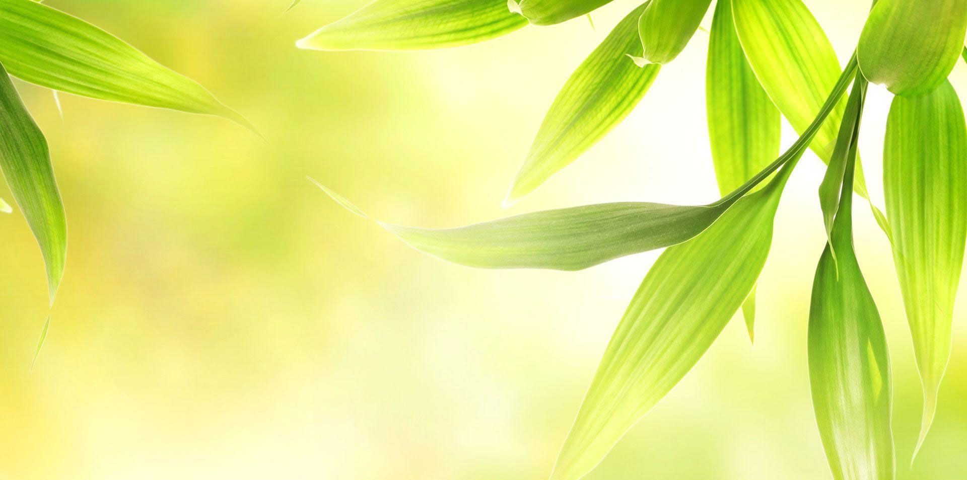 Healthy and wellness journals and planners and exercise trackers