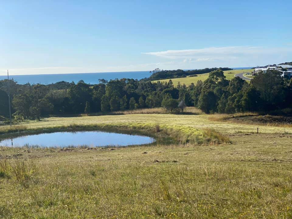 An Open Space With A Lake — Slashing in Mid North Coast NSW