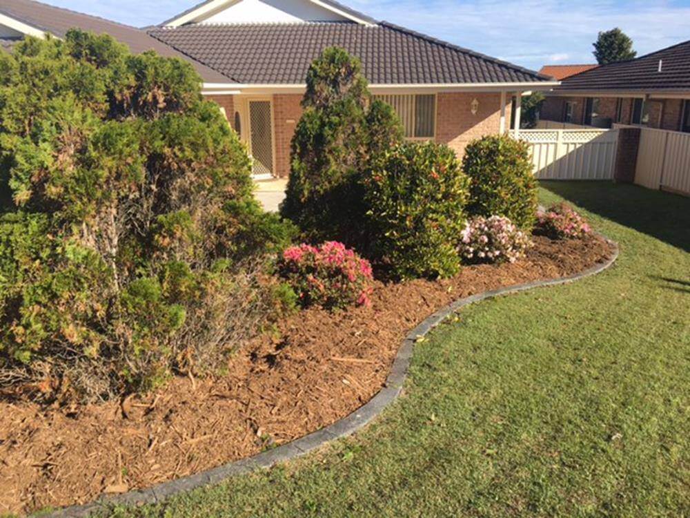 A Large Lawn With Plants — Slashing in Mid North Coast NSW