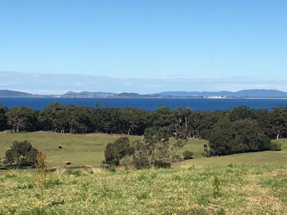 Newly Trimmed Lawn — Slashing in Mid North Coast NSW