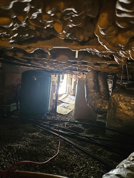 The ceiling of a basement with a lot of insulation and pipes.