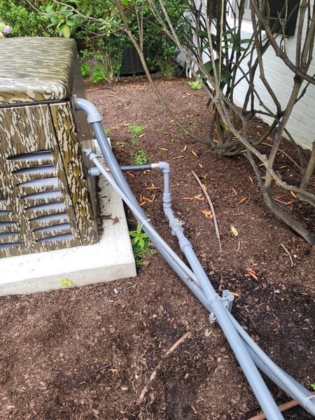 A generator is sitting in the dirt next to a tree.