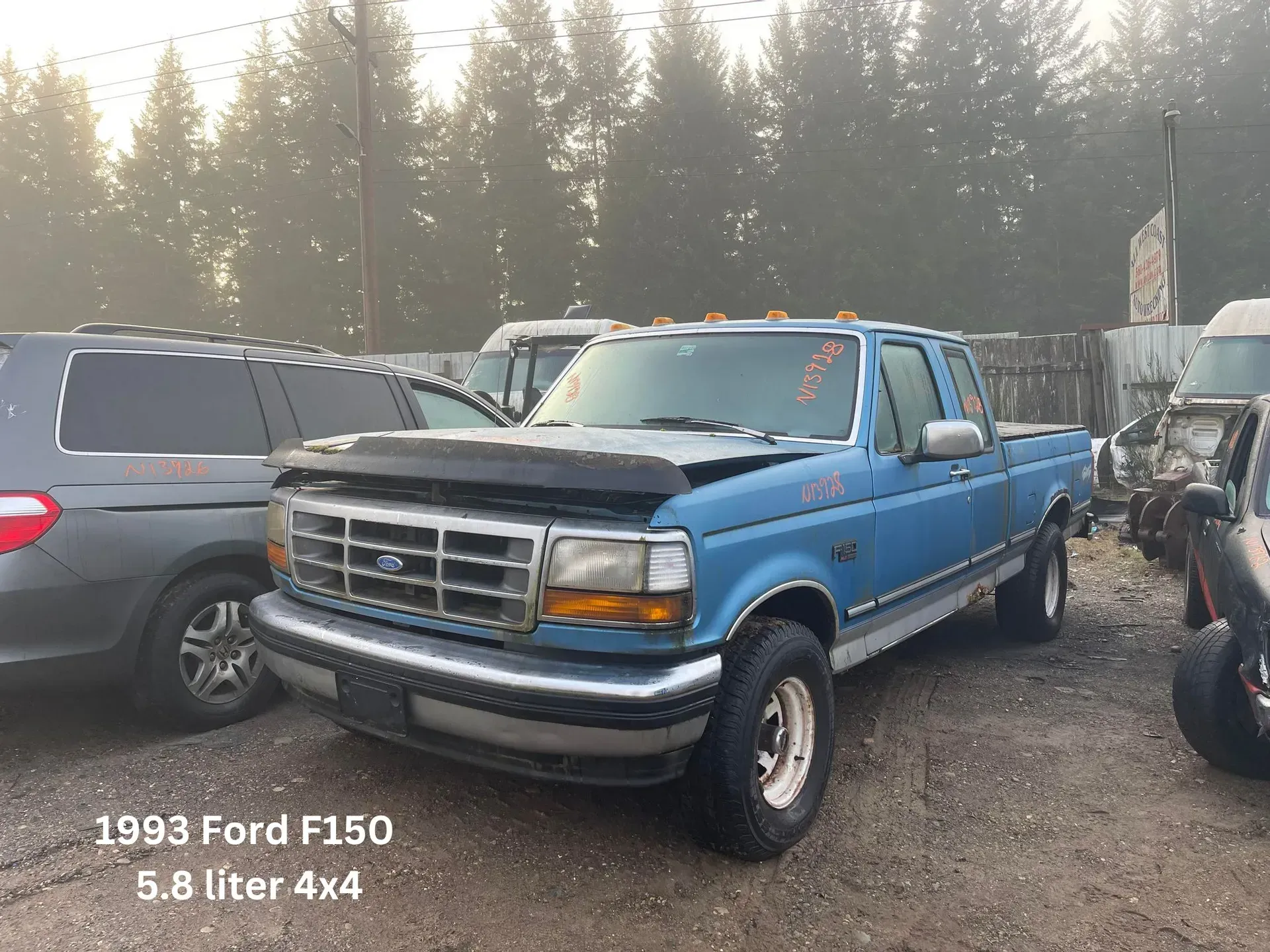 Blue 1993 Ford F150 4x4 pickup truck in a salvage yard. Hood is damaged.