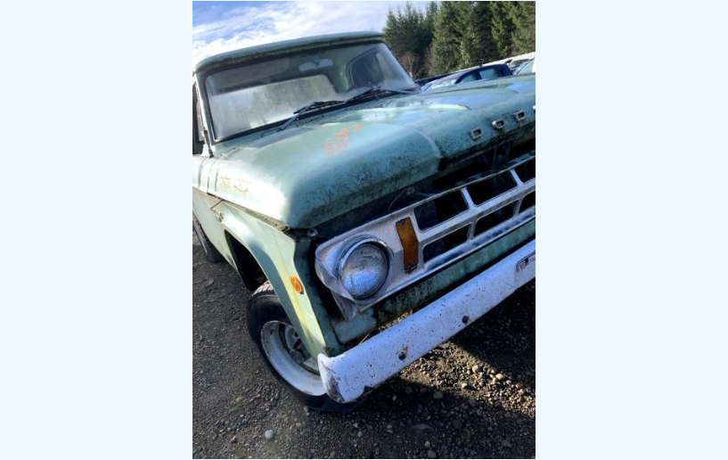Green Dodge pickup truck with white bumper and headlight.