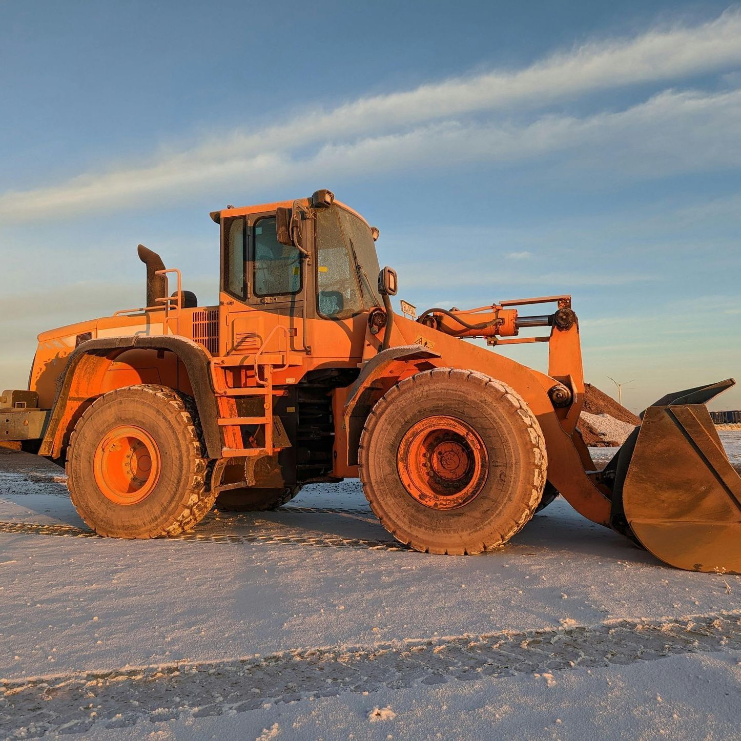 A white box sealed with brown tape featuring paw prints and the 