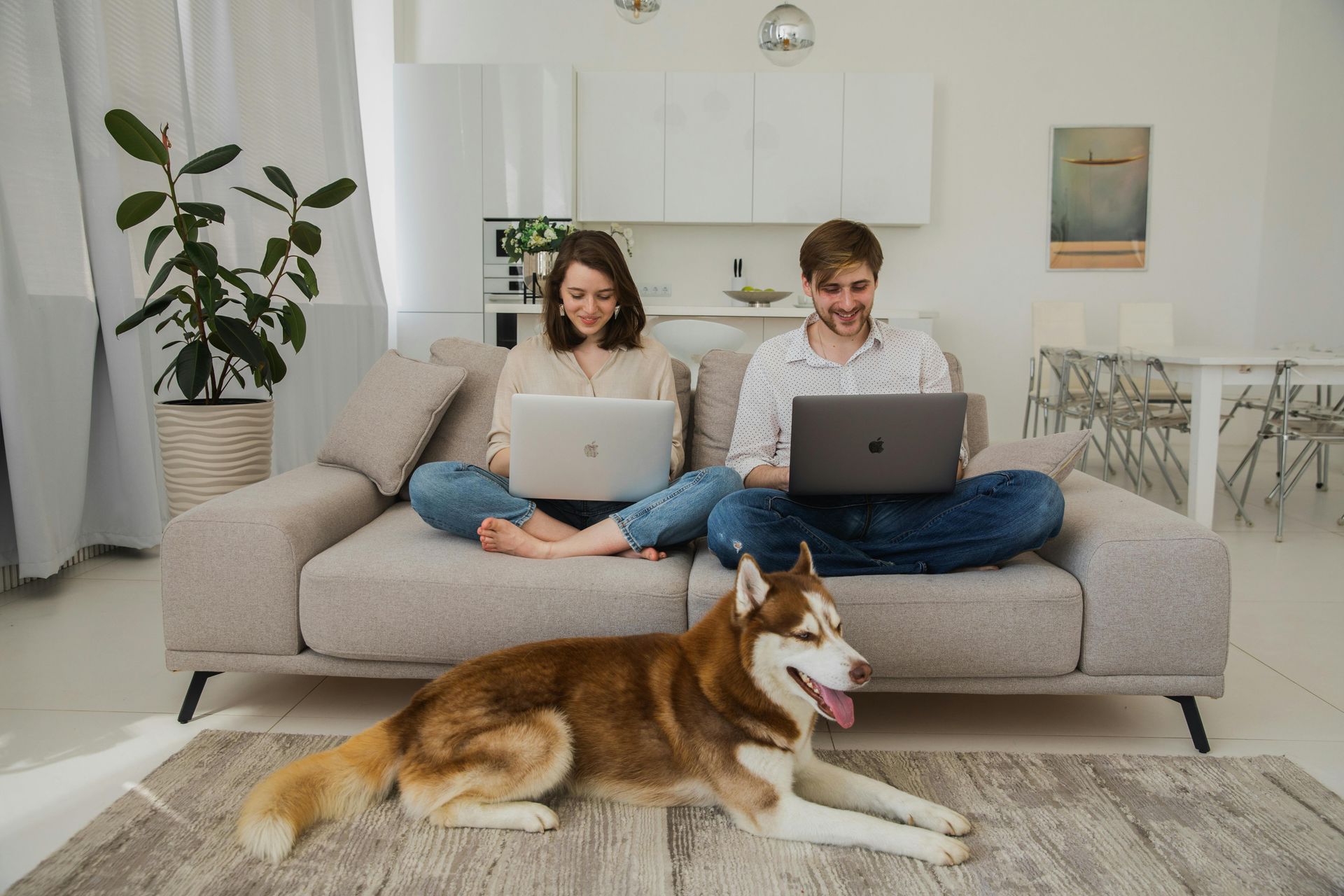 A man and a woman are sitting on a couch with laptops and a dog.