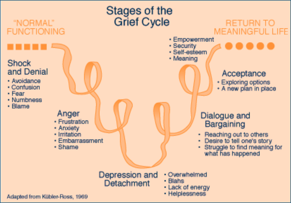 A diagram showing the stages of the grief cycle