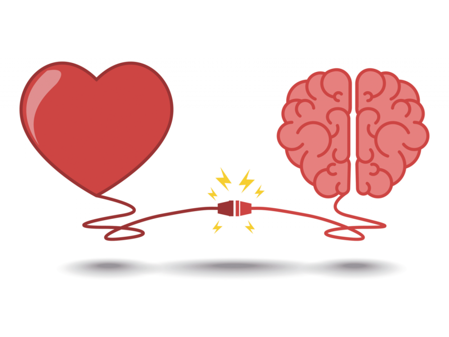 Heart and brain connecting representing love energy