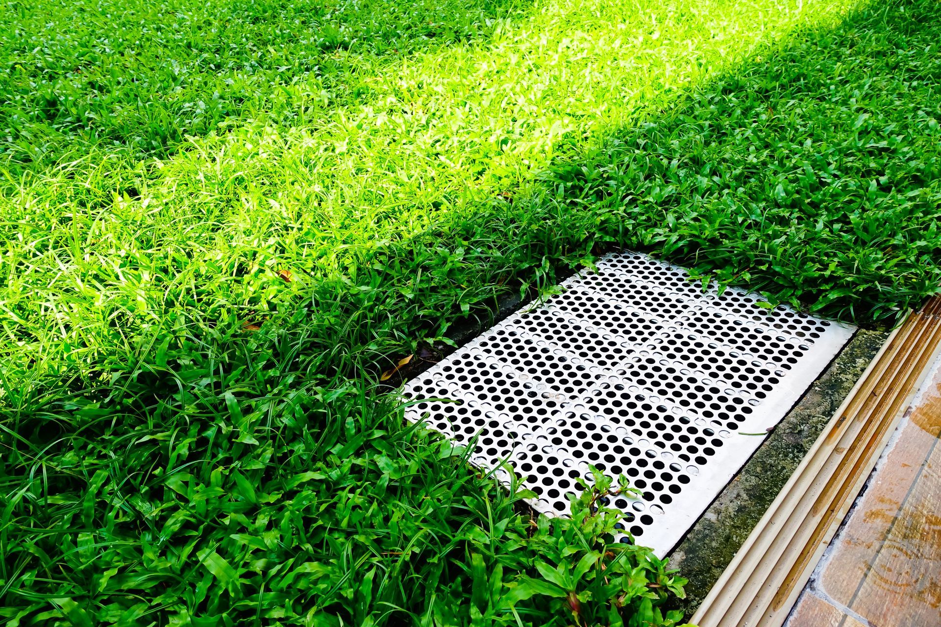 A drain cover is sitting in the middle of a lush green lawn.