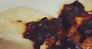 A white plate with a piece of food on it