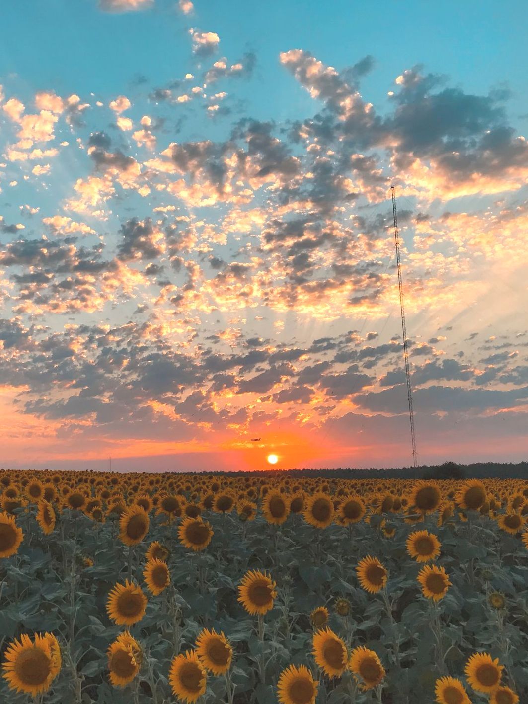 A wooden walkway leading to a gazebo overlooking a body of water at sunset.