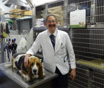 Pet Vaccination — Dr. Jan Feingold with Beagle in Oxnard, CA