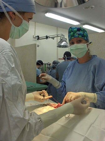 Animal Dental — Animal Surgery in Oxnord, CA