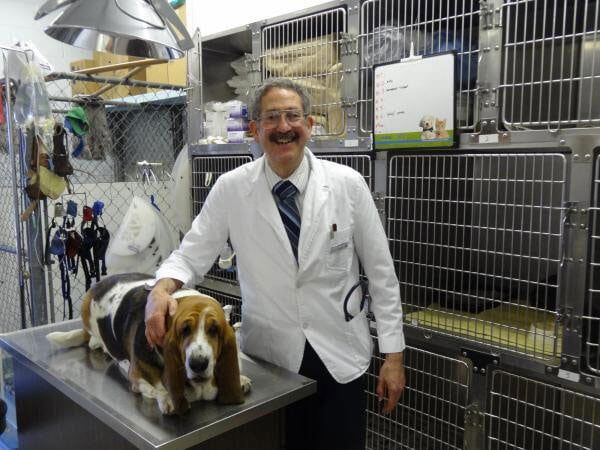 Animal Care Clinic — Dr. Jan Feingold with Beagle in Oxnord, CA
