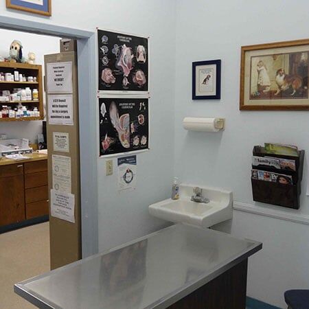 Veterinarian — Clinic's Office in Oxnord, CA