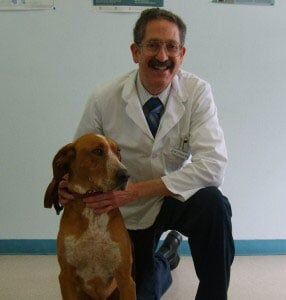 Veterinarian Oxnard — Dr. Jan in Oxnord, CA