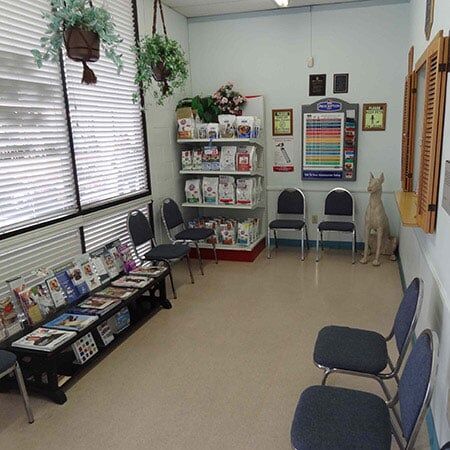 Animal Hospital Near Me — Waiting Area in Oxnord, CA