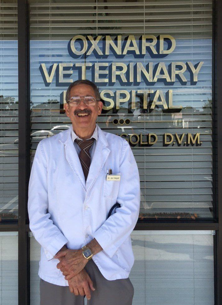 Business Owner — Dr. Feingold in Oxnord, CA