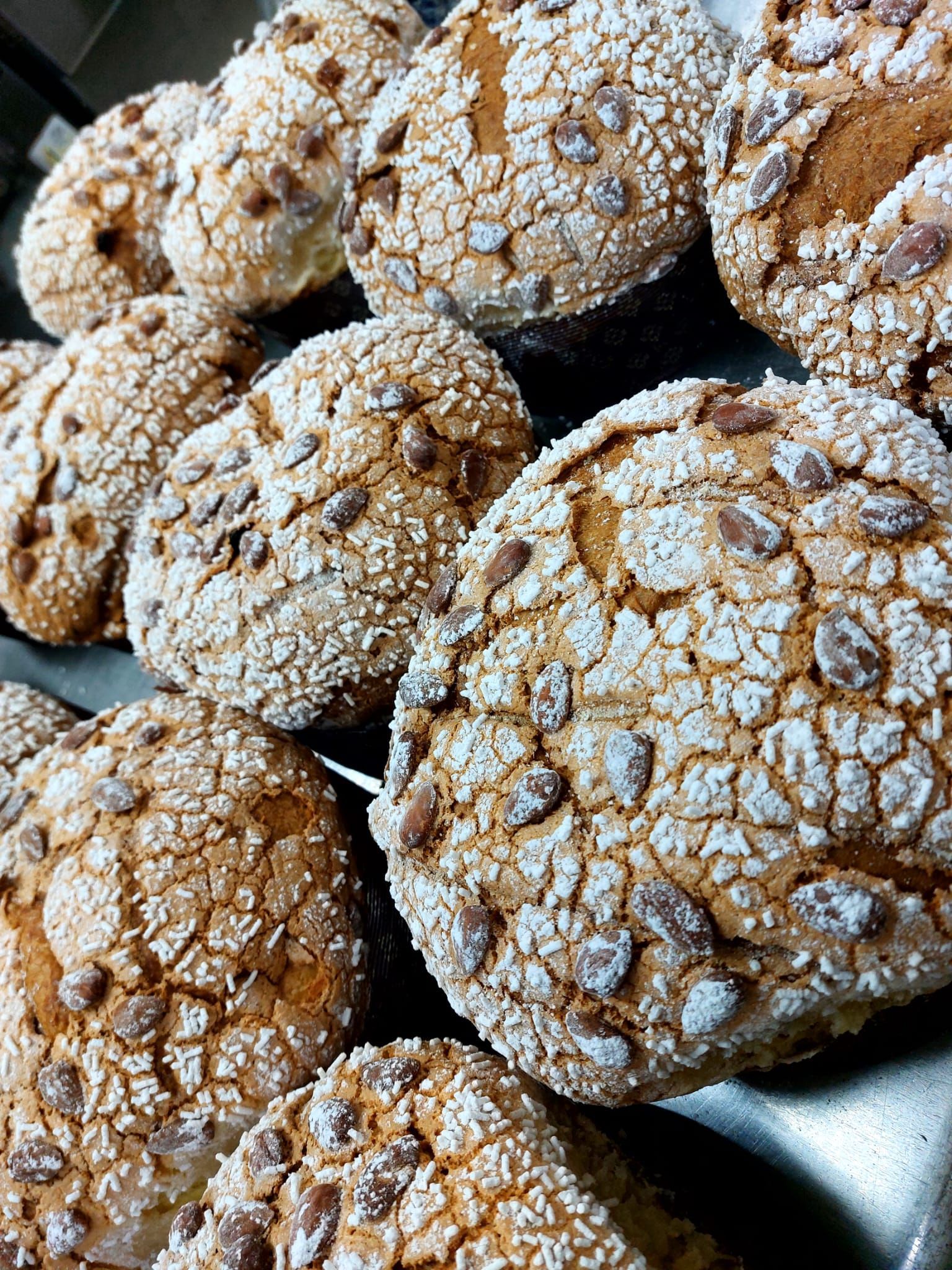 Primo piano di biscotti increspati con zucchero a velo su un vassoio