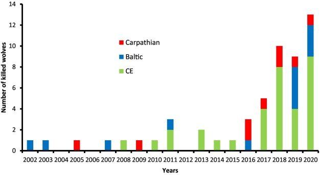 Bild: Anzahl der Wölfe aus Karpaten-, Baltikum- und mitteleuropäischen Populationen unter den in Polen zwischen 2002 und 2020 illegal erlegten Wölfen