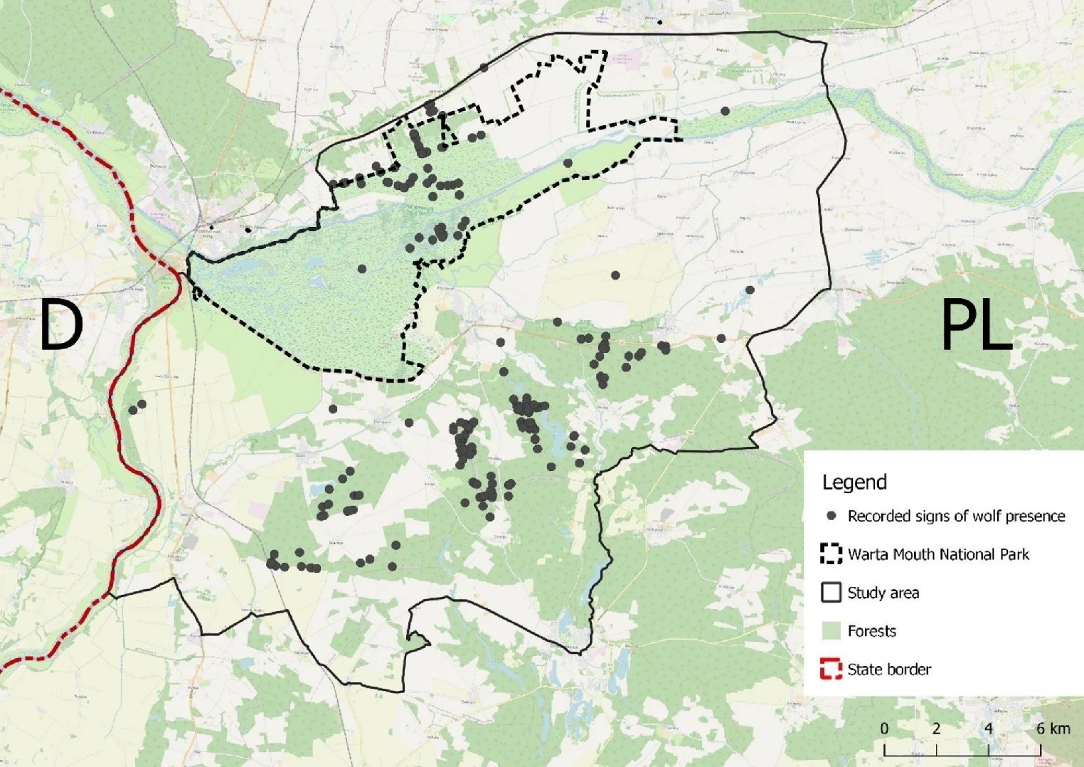 Abbildung: Die Region der Warthemündung mit Darstellung des Nationalparks Warthemündung und des Natura-2000-Gebiets „Ujście Warty” (PLC080001). D – Deutschland, PL – Polen. schwarze Umrandung: Das Untersuchungsgebiet, schwarze Punkte: Wolfsnachweise.