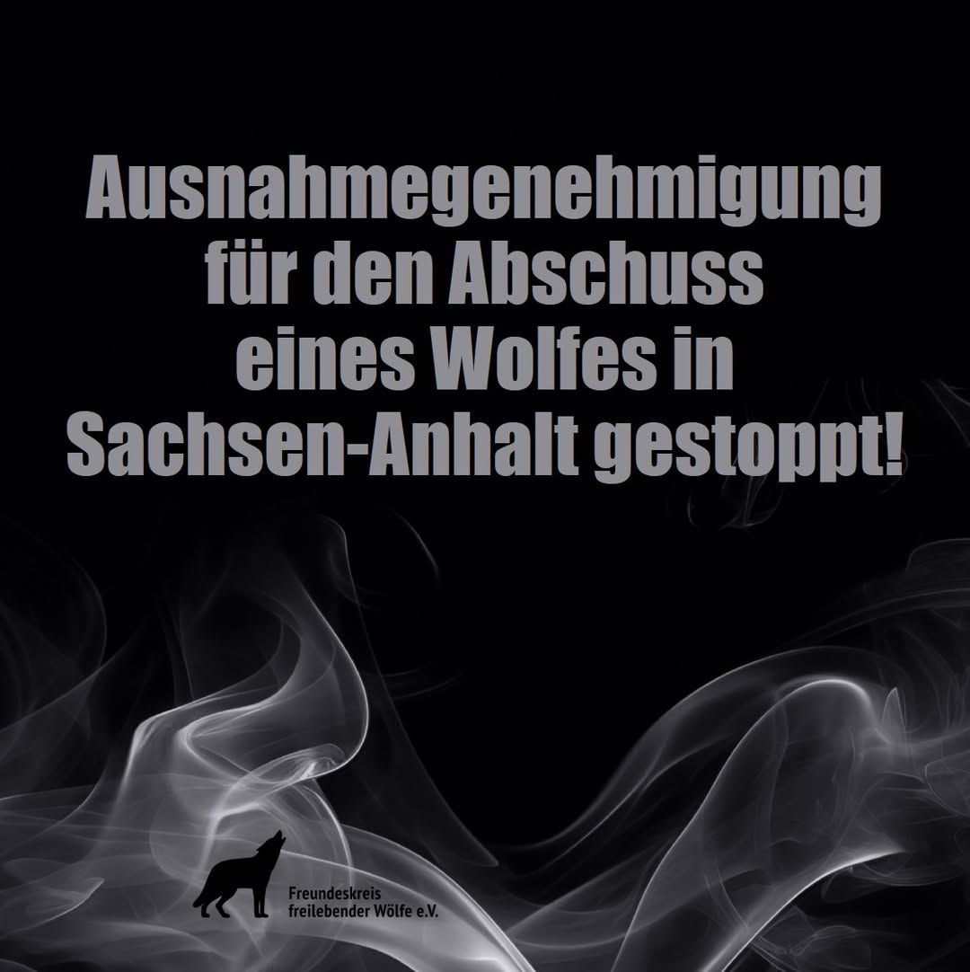 Ausnahmegenehmigung gestoppt Ausnahmegenehmigung gestoppt