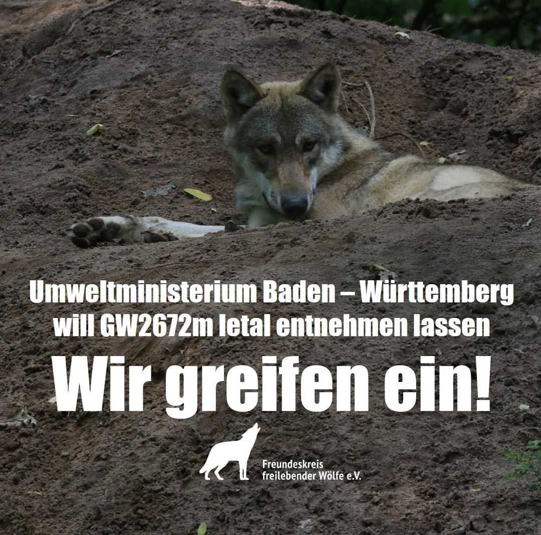 Eilantrag gegen Ausnahmegenehmigung 