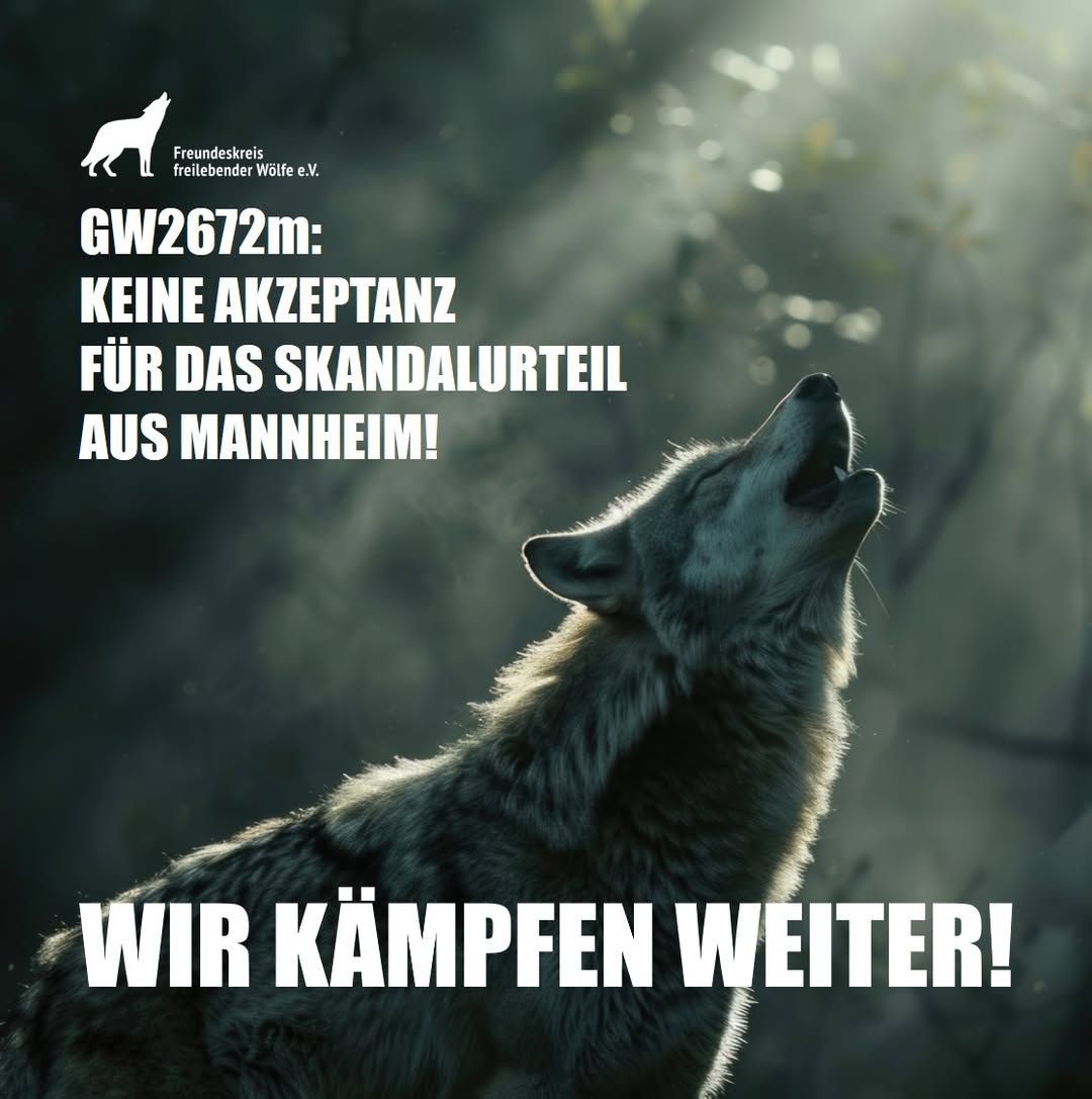 GW2672m - Wir kämpfen weiter GW2672m - Wir kämpfen weiter