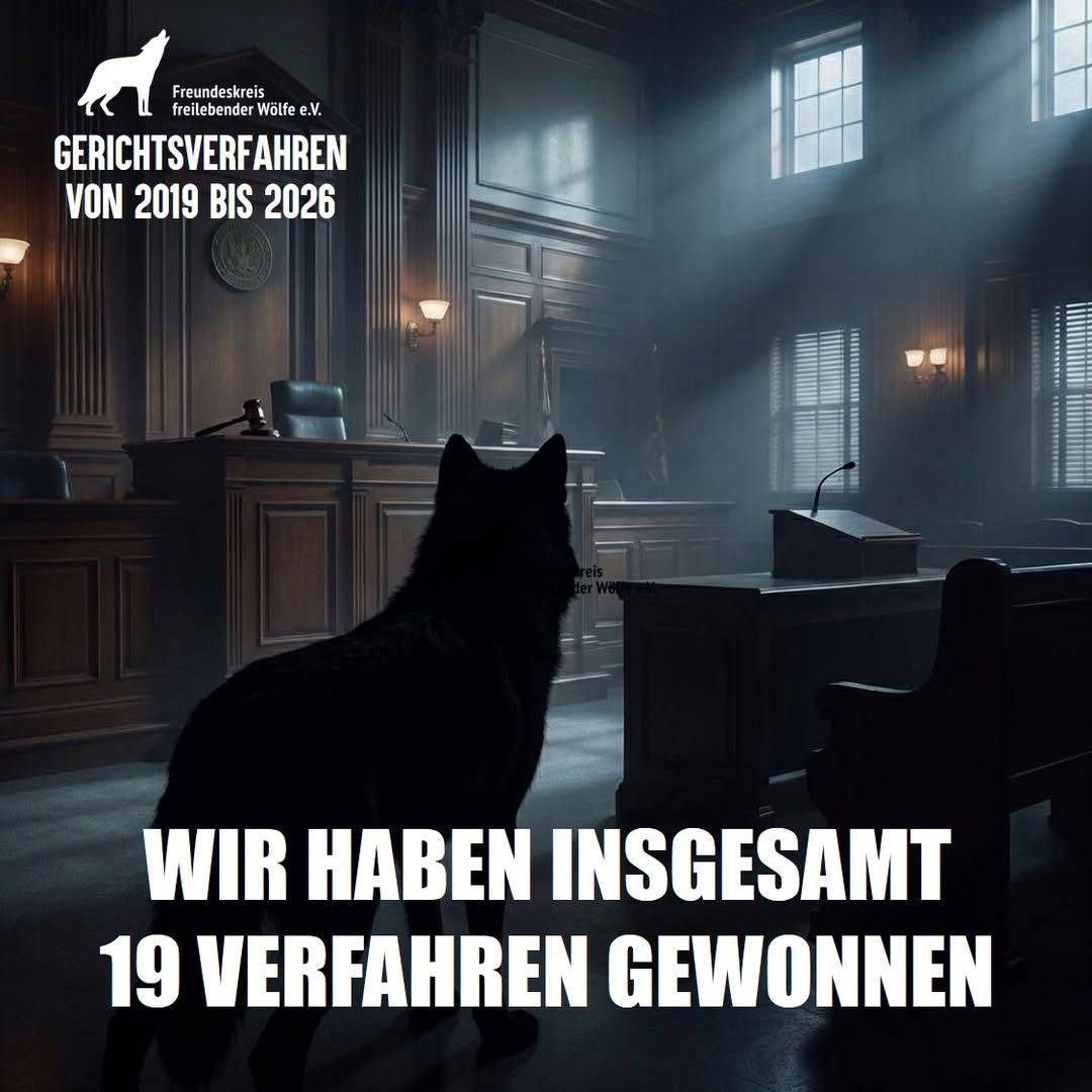 Bild - 19 Verfahren gewonnen Bild - 19 Verfahren gewonnen