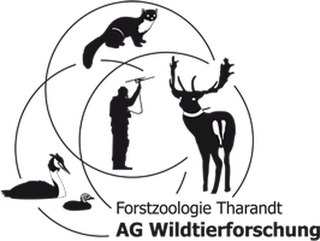 Bild AG Wildtierforschung