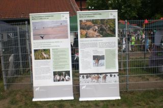 Bild 1 Infostand beim Tierheimfest in Dorf-Mecklenburg