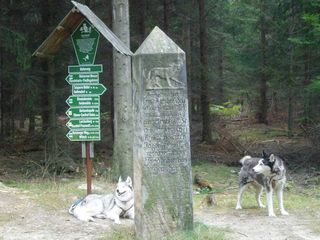 Bild Wolfsstein in der Dippoldiswalder Heide