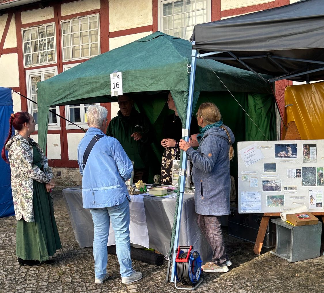 Bild 5 Infostand beim Drömlingsfest 5.0