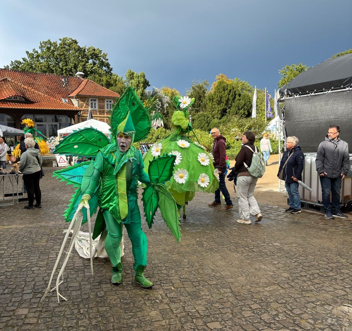 Bild 6 Infostand beim Drömlingsfest 5.0