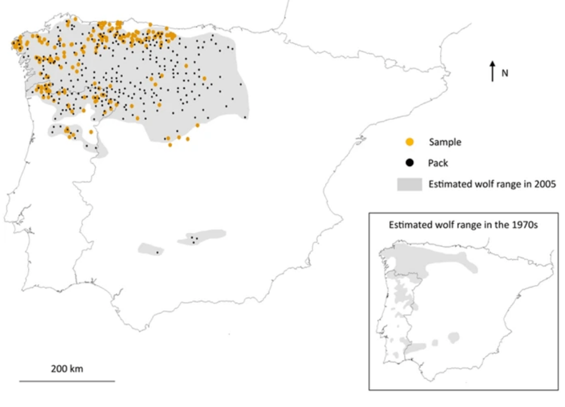 Bild Estimated wolf range in the Iberian Peninsula in 2005 and in the 1970s.