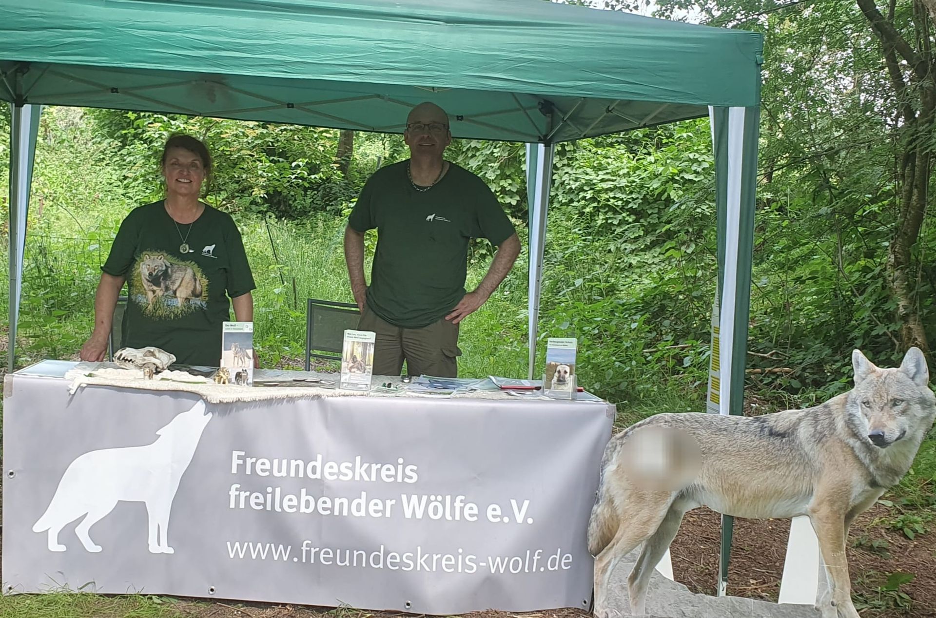 Bild Infostand LiPaiO