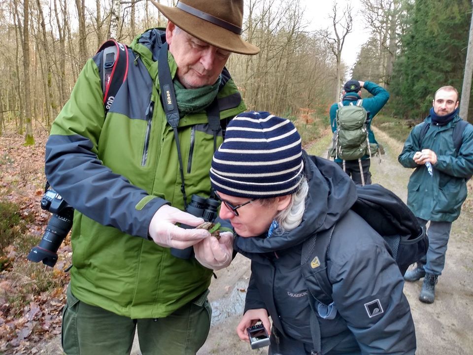 Bild Wolfswanderung mit Kenny Kenner Bild Wolfswanderung mit Kenny Kenner