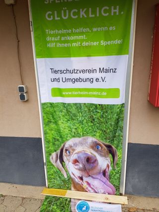 Bild Tierheim Mainz