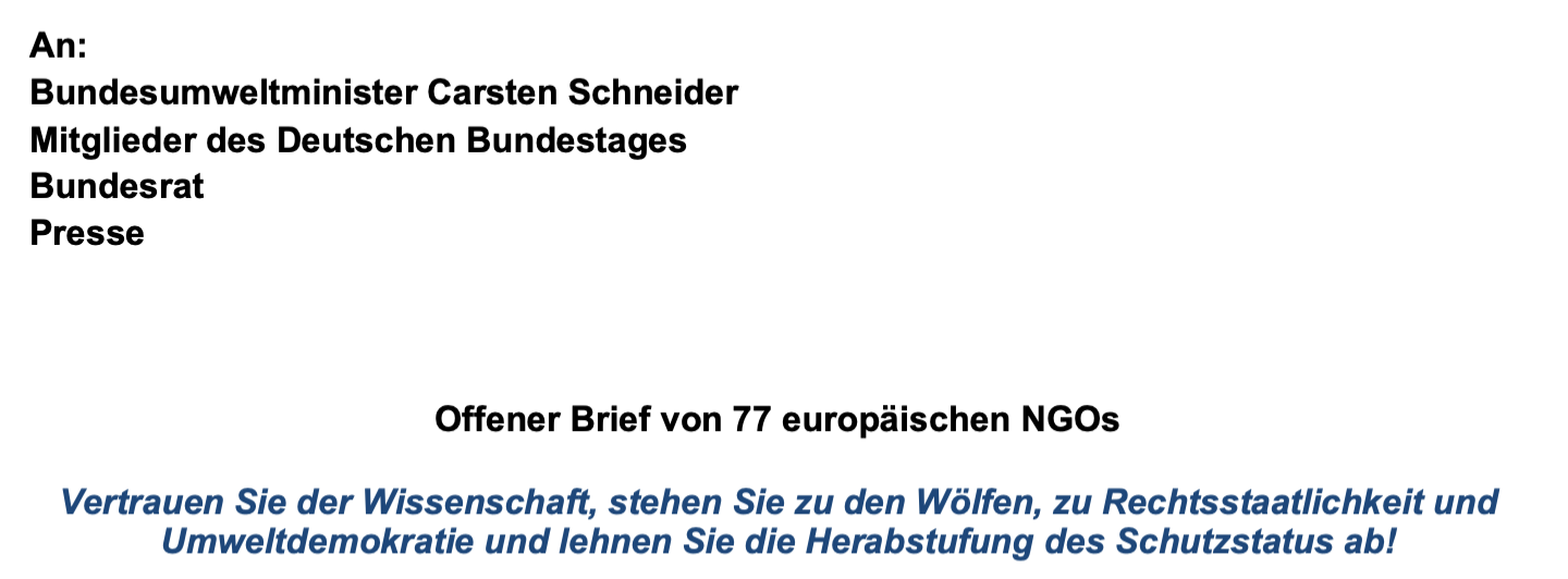 Offener Brief