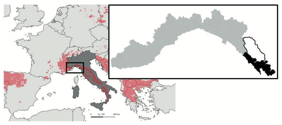 Bild: Der Ausschnitt zeigt die Region Ligurien (in grau) und die Provinz La Spezia (in fett)