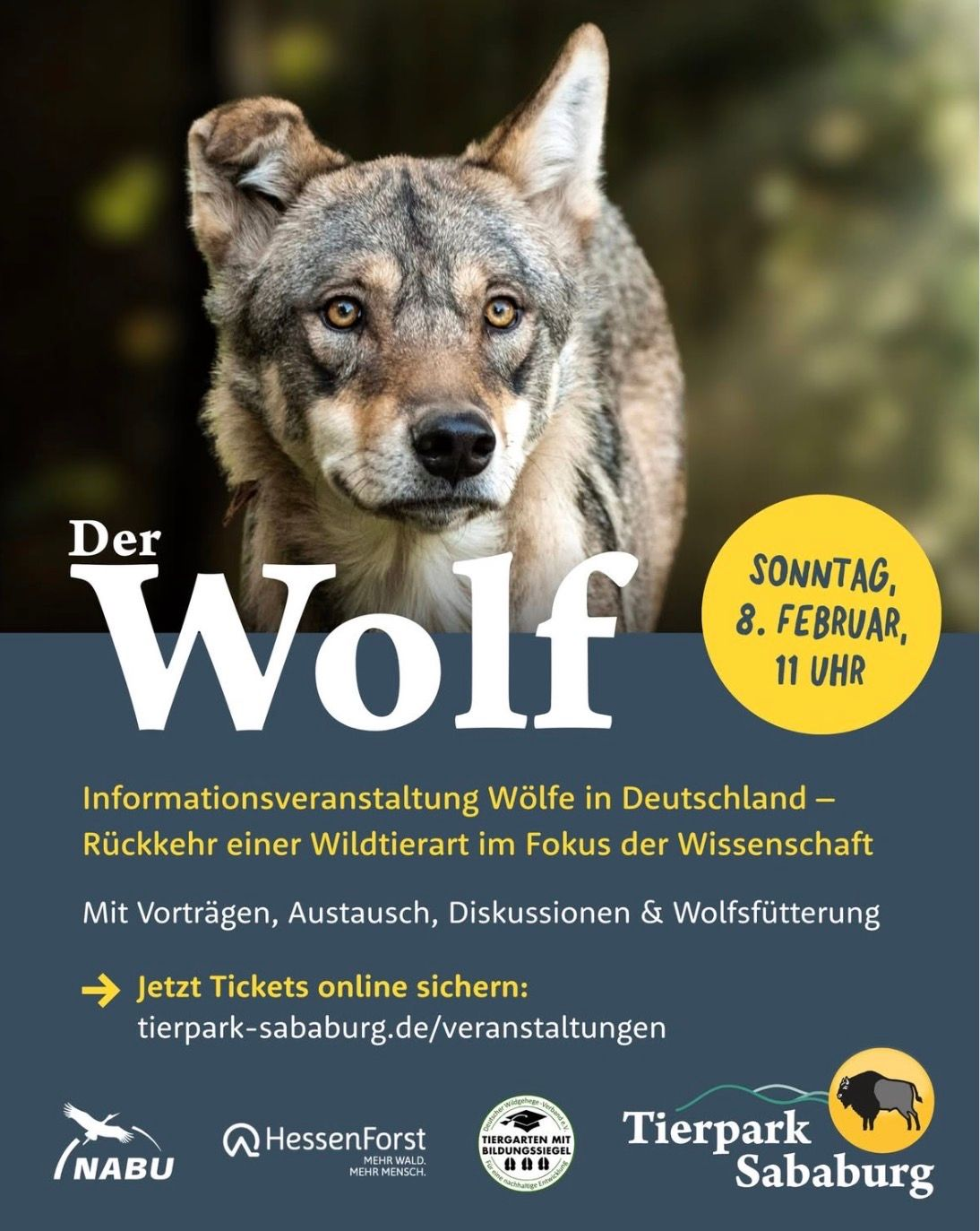 Bild Informationsveranstaltung im Tierpark Sababurg