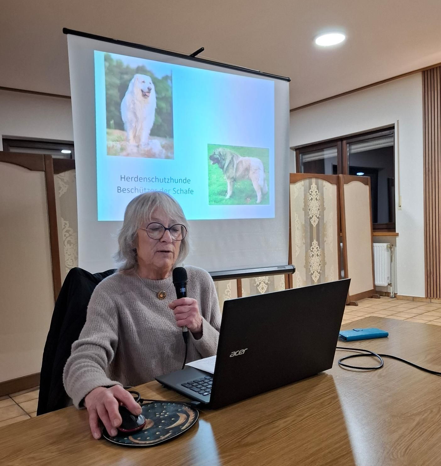 Bild 1 Vortrag in Steinhausen