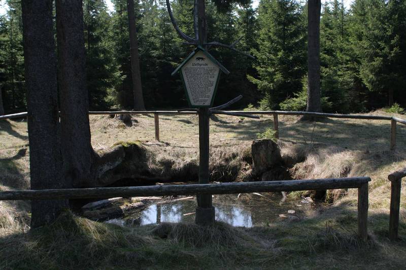 Bild Wolfsfanggrube im Thüringer Wald 2