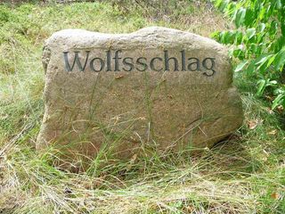 Bild Wolfsschlag Schorfheide 1