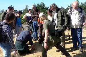 Bild Ausmessen Wolfsspur