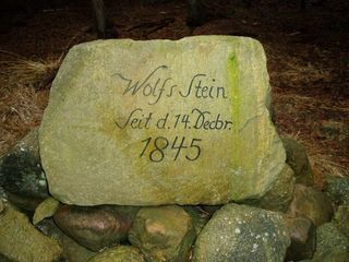 Bild Wolfsstein im Nochterner Forst bei Weißwasser