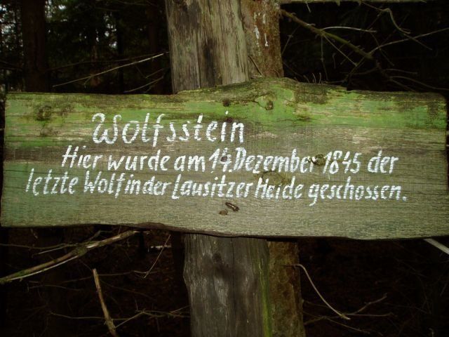 Bild 4 Wolfsstein im Nochtener Forst bei Weißwasser